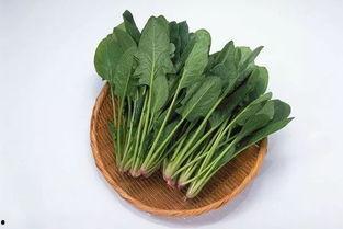 菠菜最新爆料视频播放,幕后真相大起底！