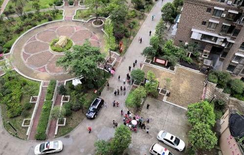 自贡顺龙家苑最新爆料,揭秘神秘项目背后的故事