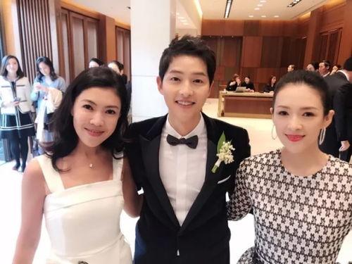 双宋结婚爆料视频大全最新,独家视频大全精彩瞬间回顾