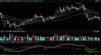 东港股份最新爆料,揭秘企业转型背后的战略布局