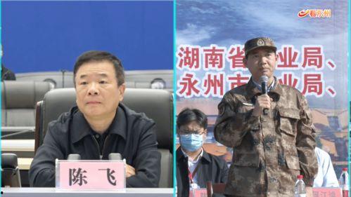 陈飞爆料视频大全最新一期,一期精彩内容大盘点