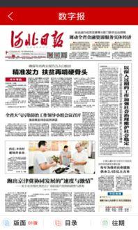 河北省最新爆料消息今天,揭秘今日热点事件背后的真相