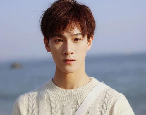 郑伟爆料视频大全集最新,揭秘背后惊人真相