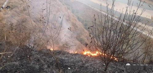 秀山曝光爆料最新消息,揭秘事件真相，真相大白！